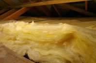 Cameley pitch roof insulation